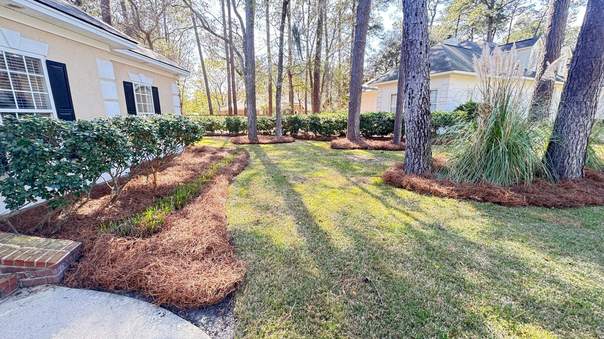 Tree Service in Chatham County